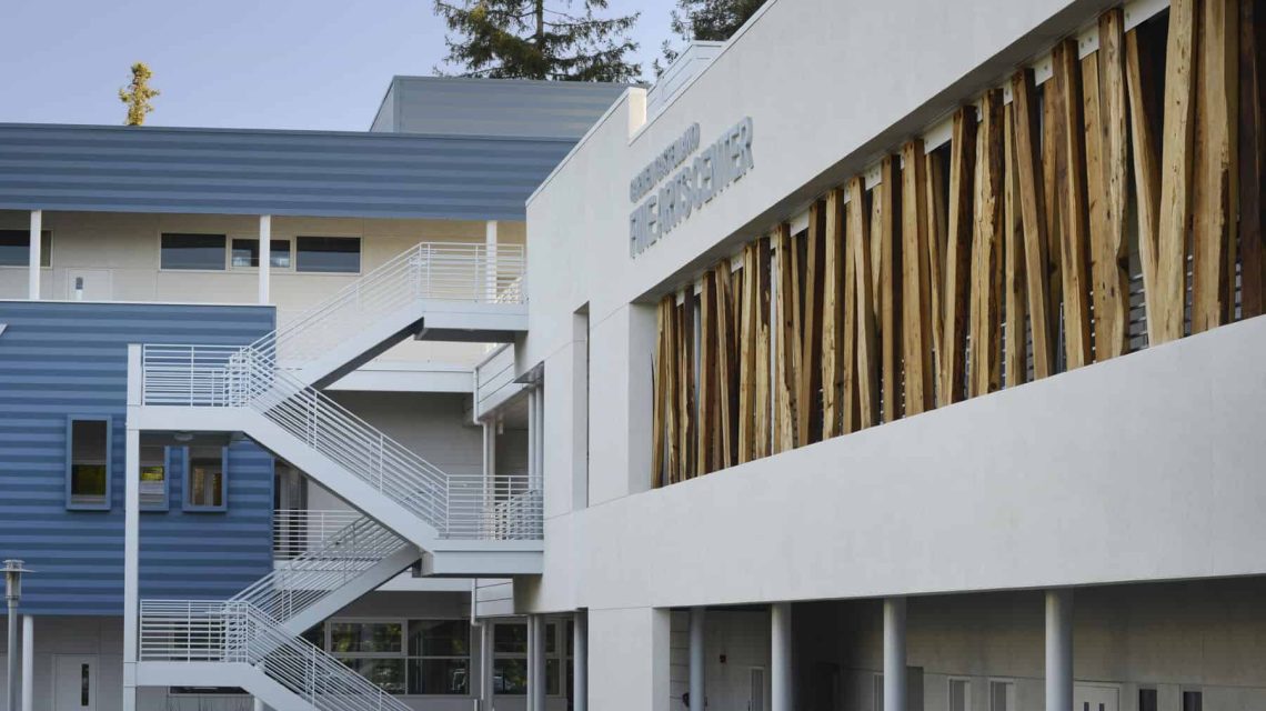 sjcitycollege-forest wall